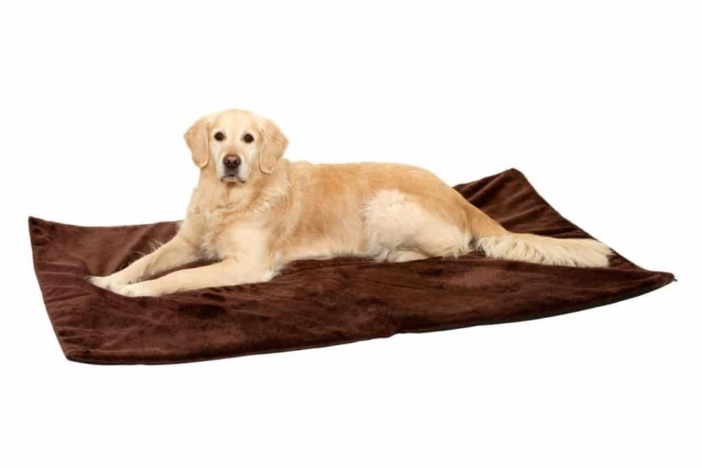 Hunde Heizdecke Heizmatte Karlie Thermo Top Hunde Heizdecke Heizmatte Karlie Thermo Top