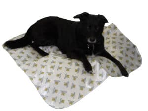 Inktontinenzdecke für Hunde Inktontinenzdecke für Hunde