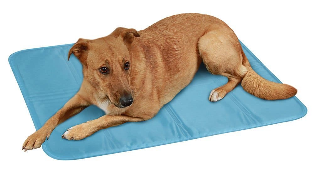 Kühlmatte Hund Cool Relax von Kerbl Kühlmatte Hund Cool Relax von Kerbl
