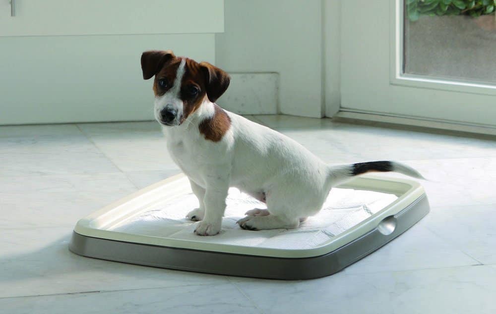Savic Hundetoilette Savic Hundetoilette
