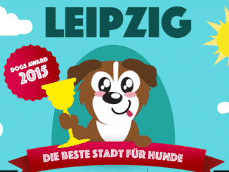 beste-stadt-fuer-hunde