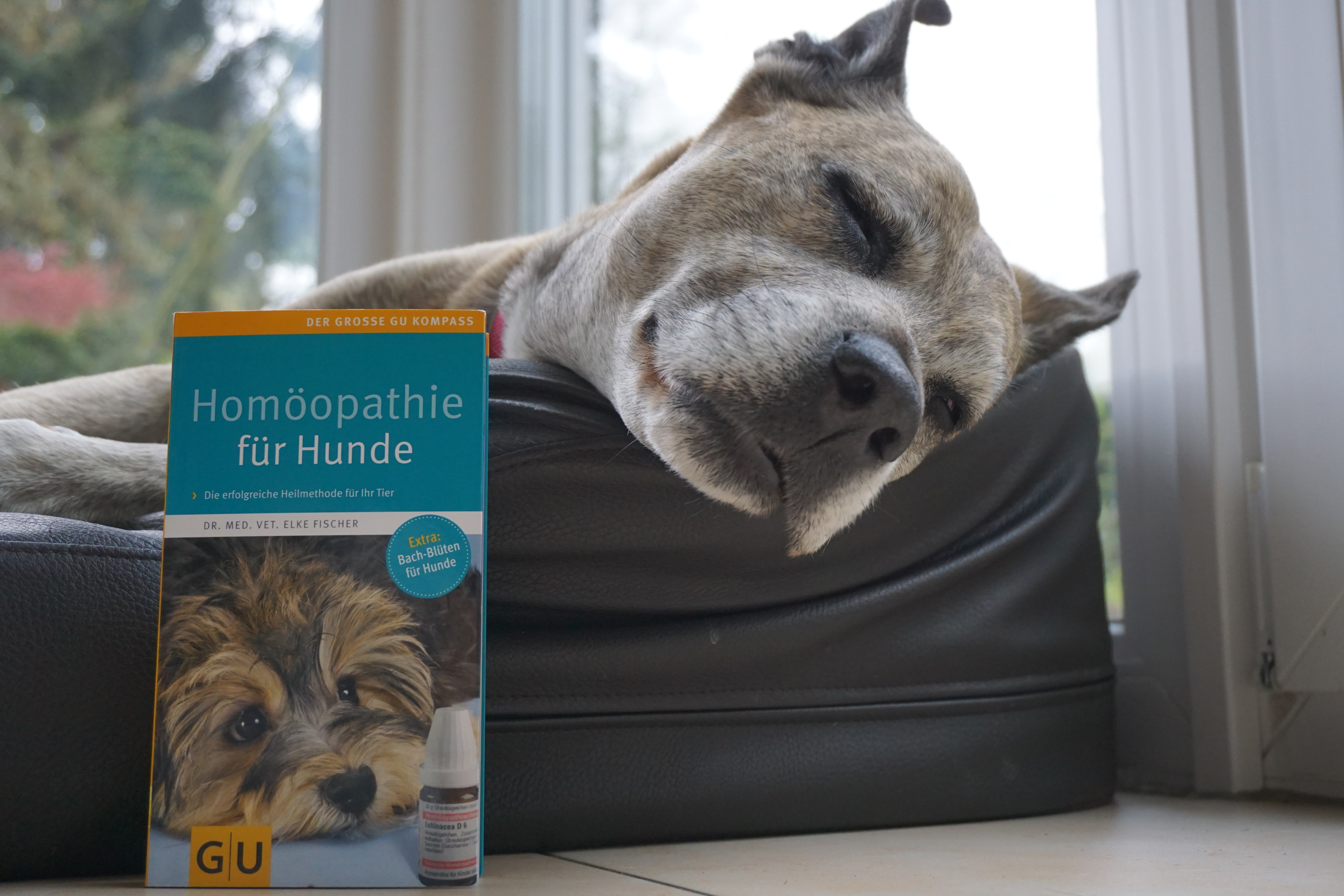 Buch-Homöopathie-für-hunde Buch-Homöopathie-für-hunde
