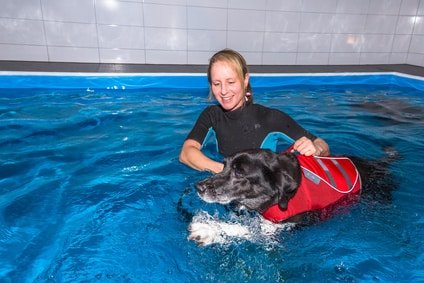Muskelaufbau-beim-Hund-durch-schwimmen