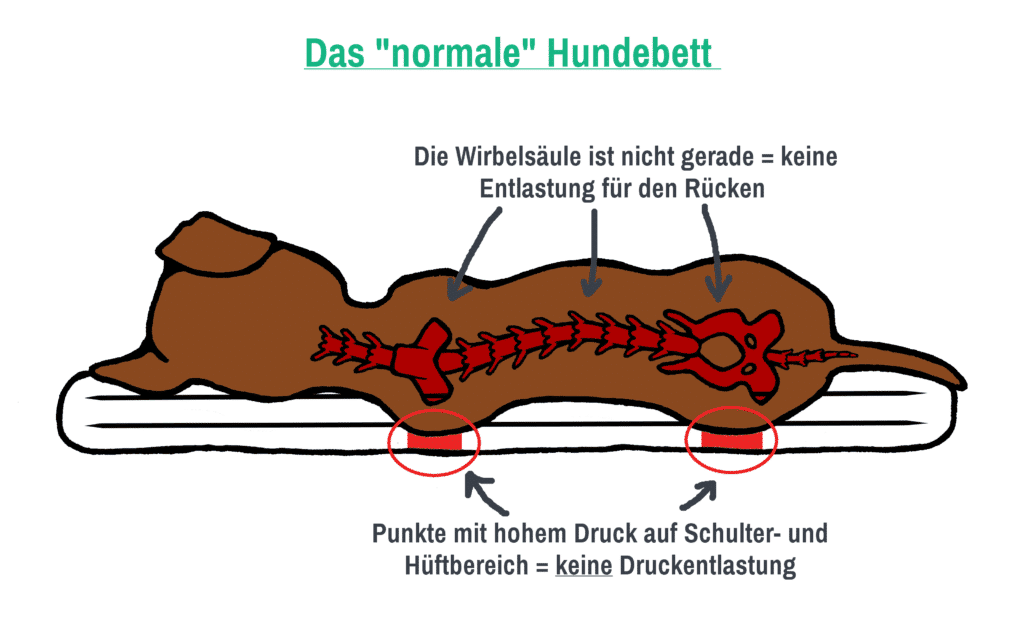 normales-hundebett
