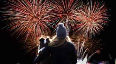 Silvester Angst beim Hund