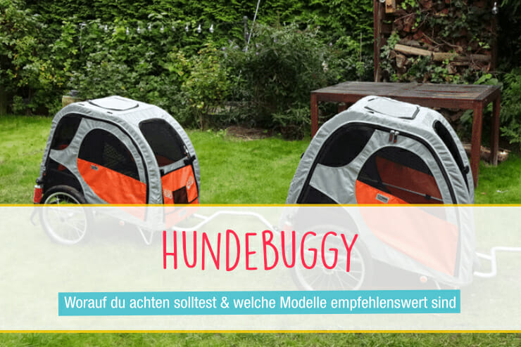 Hundebuggy Alte Kranke Hunde Transportieren Seniorpfoten