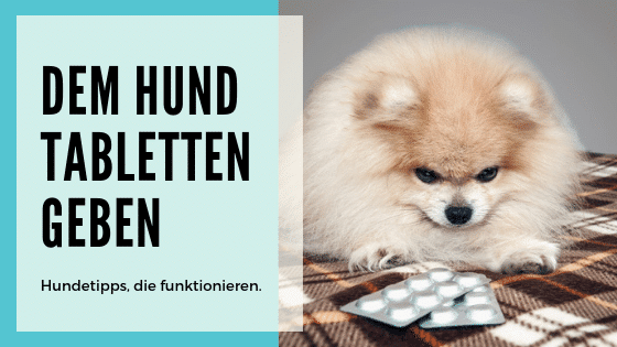 Hund Tabletten Geben Tricks Hund Tabletten Geben Tricks